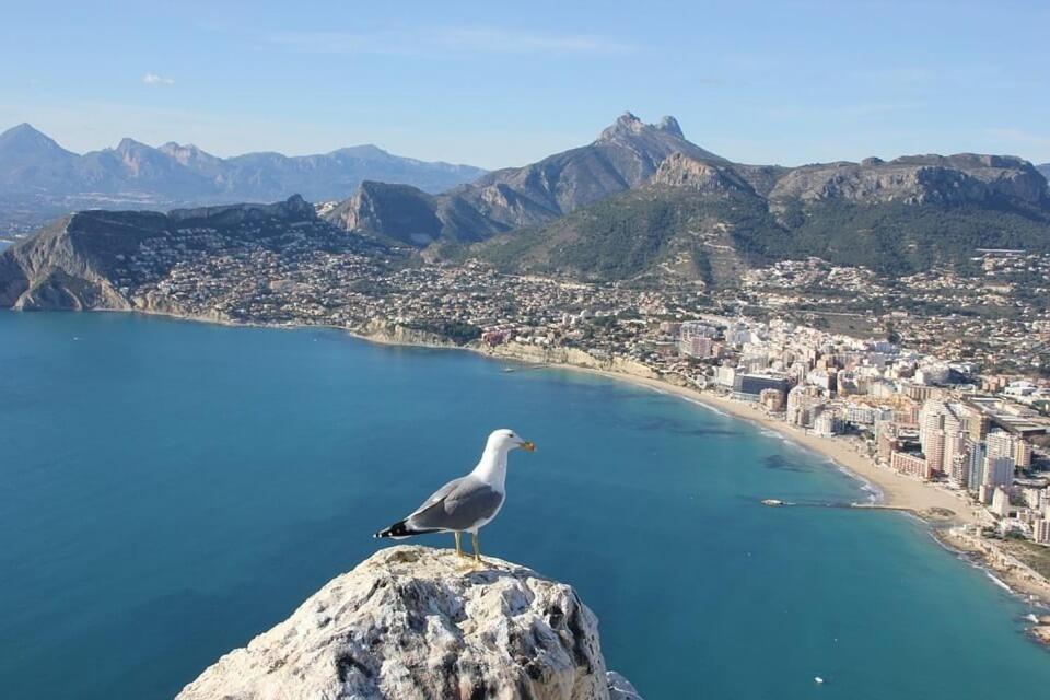 Apartamento Arenal 3 - Plusholidays Calpe Luaran gambar